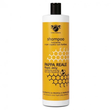 COE SHAMPOO 500ML ANTIFORFORA