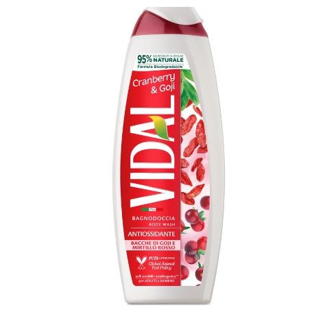 VIDAL BAGNOSCHIUMA 500 ML ANTIOSSIDANTE